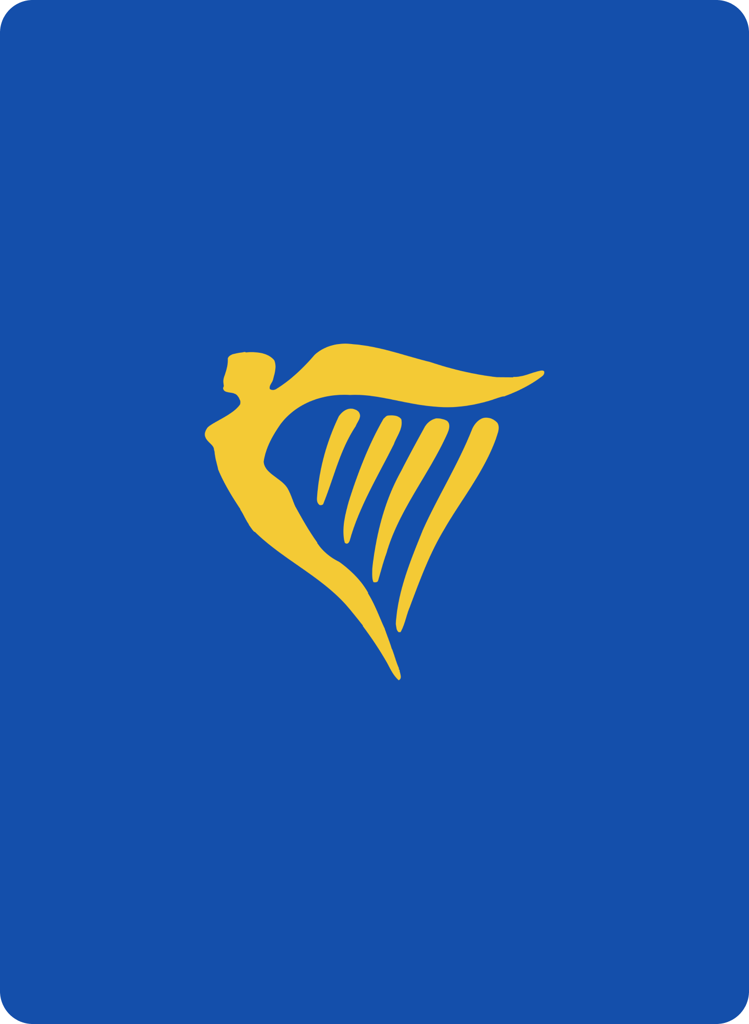 Ryanair detail
